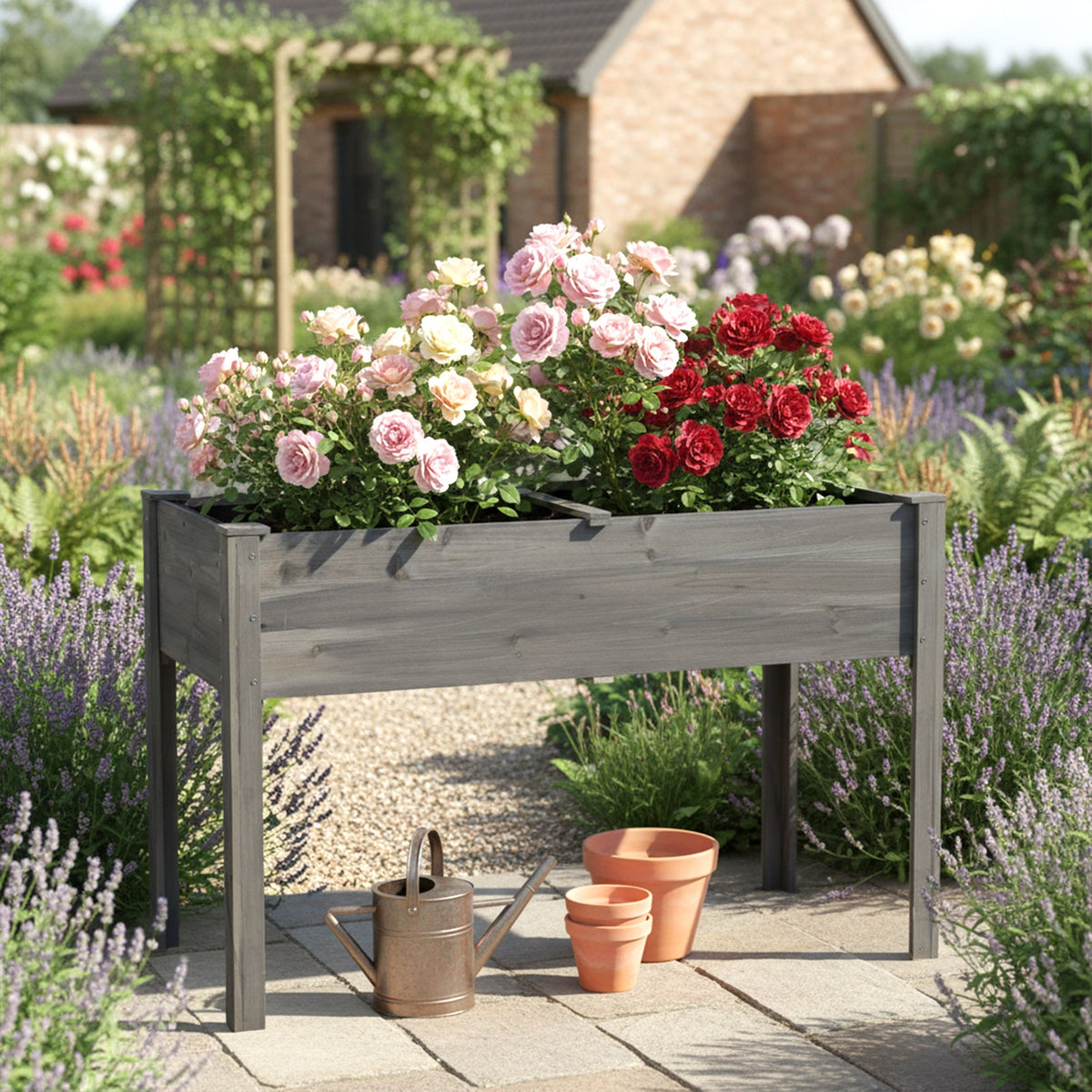 Grey elevated planter of roses in a cottage garden with lavender