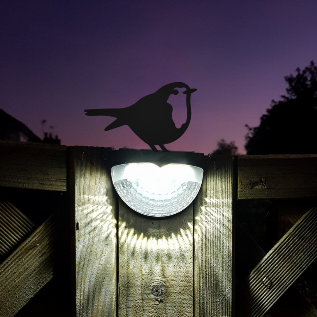 Two robin solar lights lit at night on fence posts
