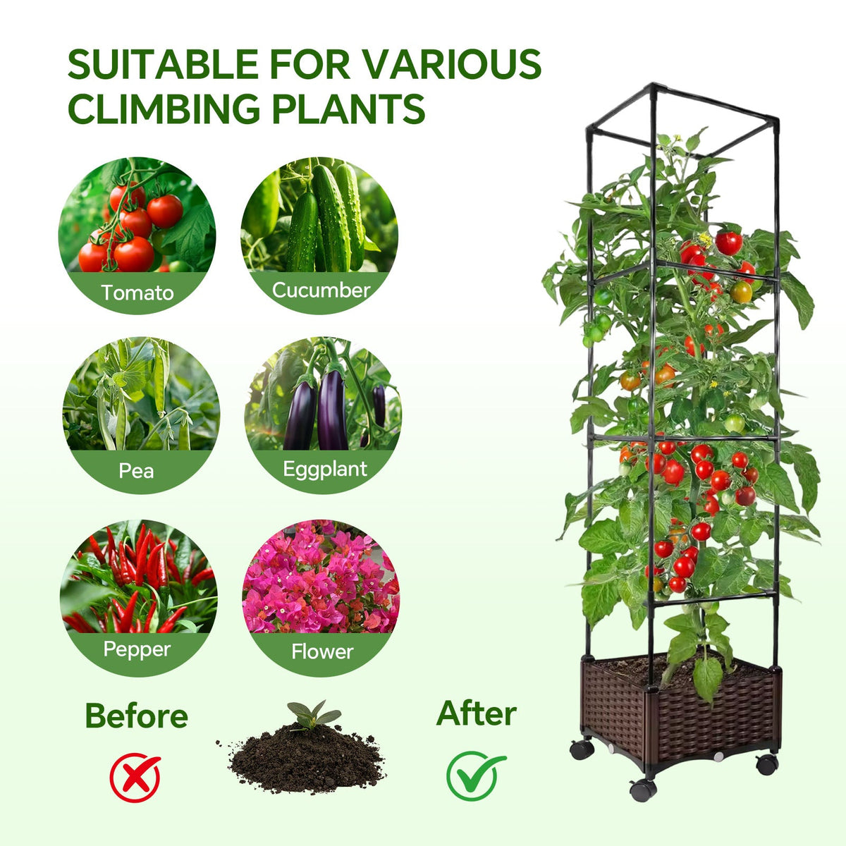 Planter with tomato plant on its trellis beside icons of tomato, cucumber, pea, aubergine, pepper and flowers