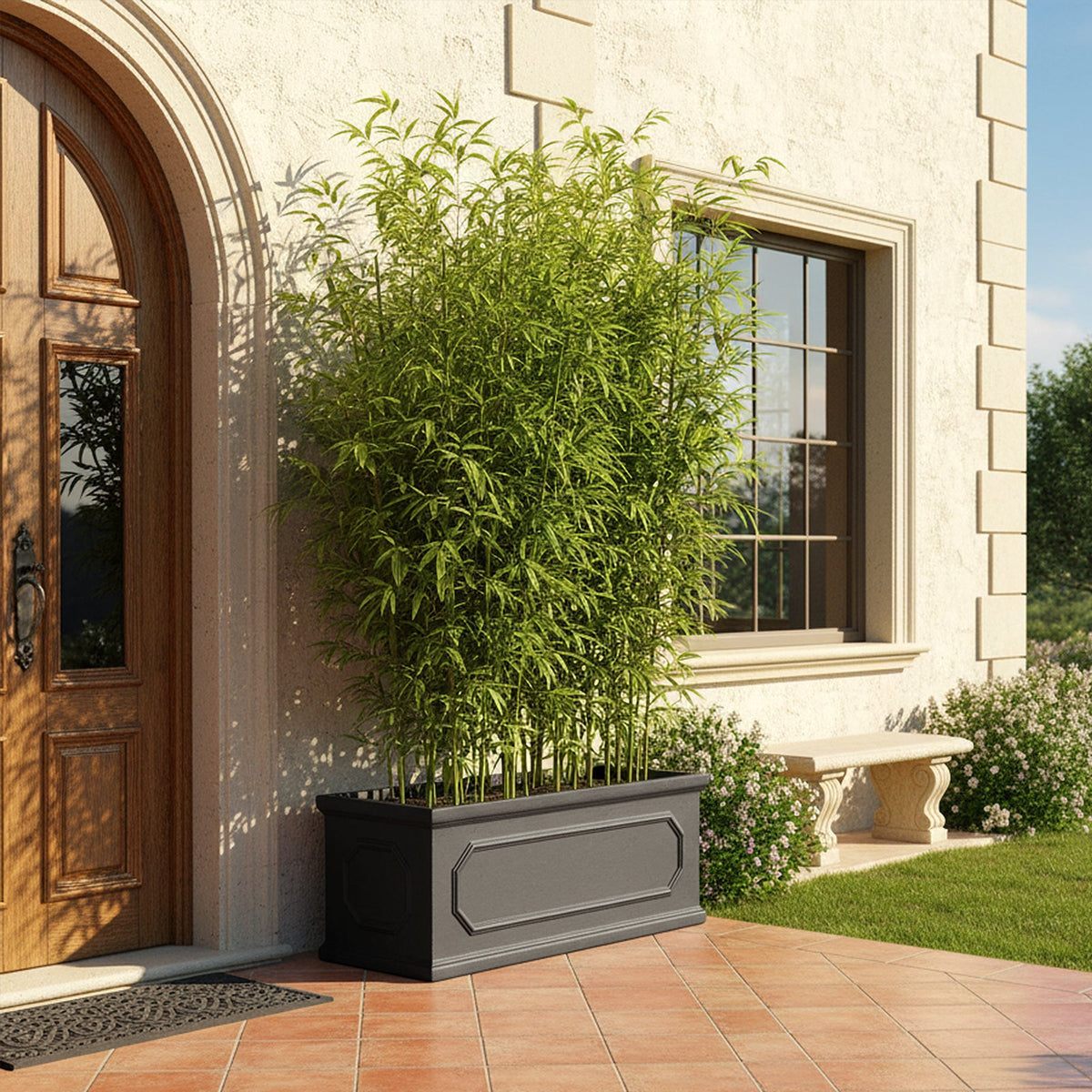 Black cement planter of bamboo beside an arched wooden front door