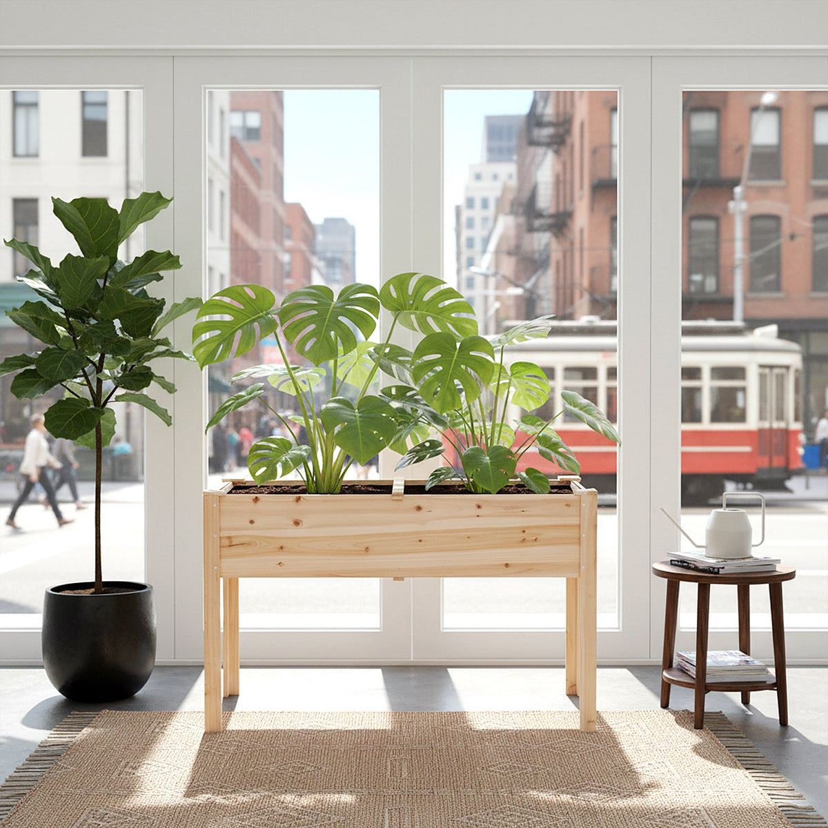 Natural wood raised planter with a monstera by tall windows