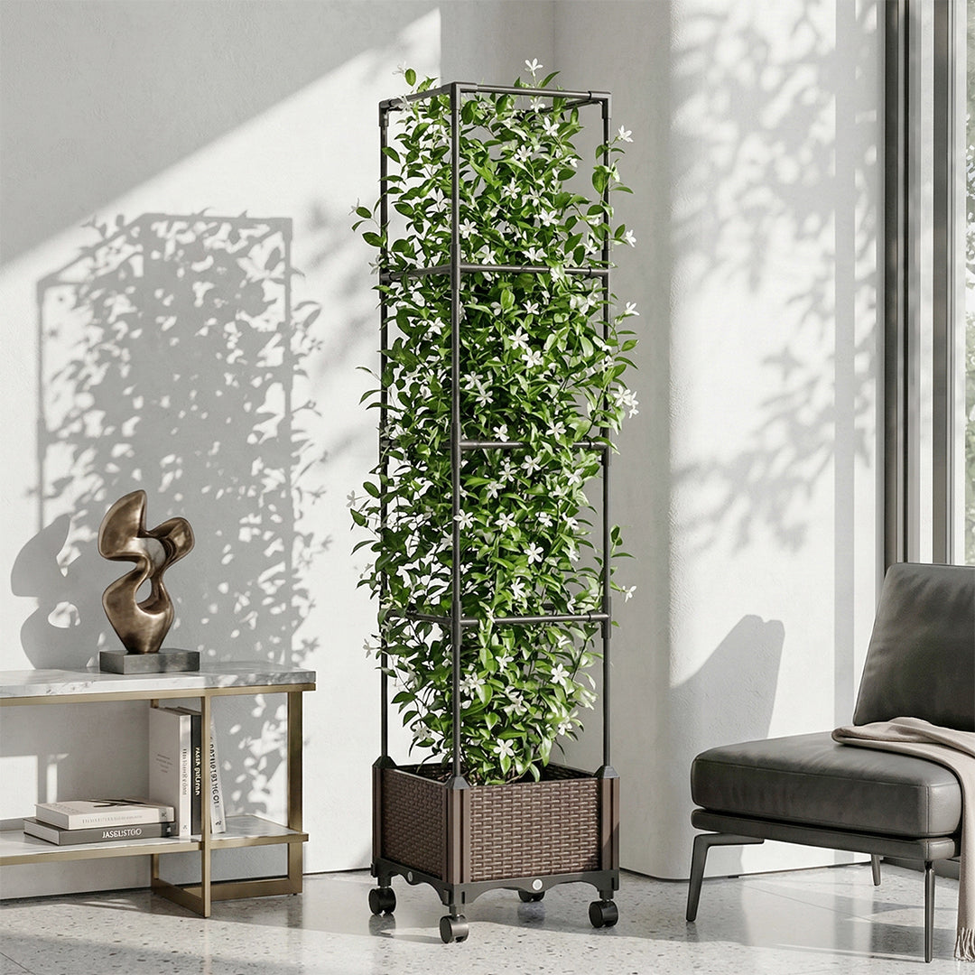 Planter with a green climbing plant on its trellis in a bright living room