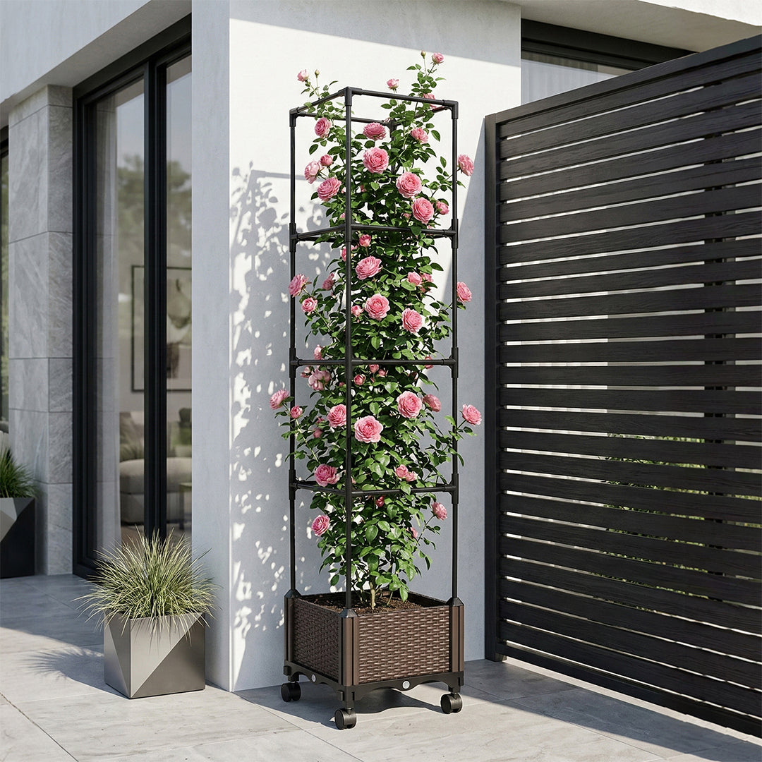 Rolling planter with pink roses climbing its black trellis beside a slatted screen