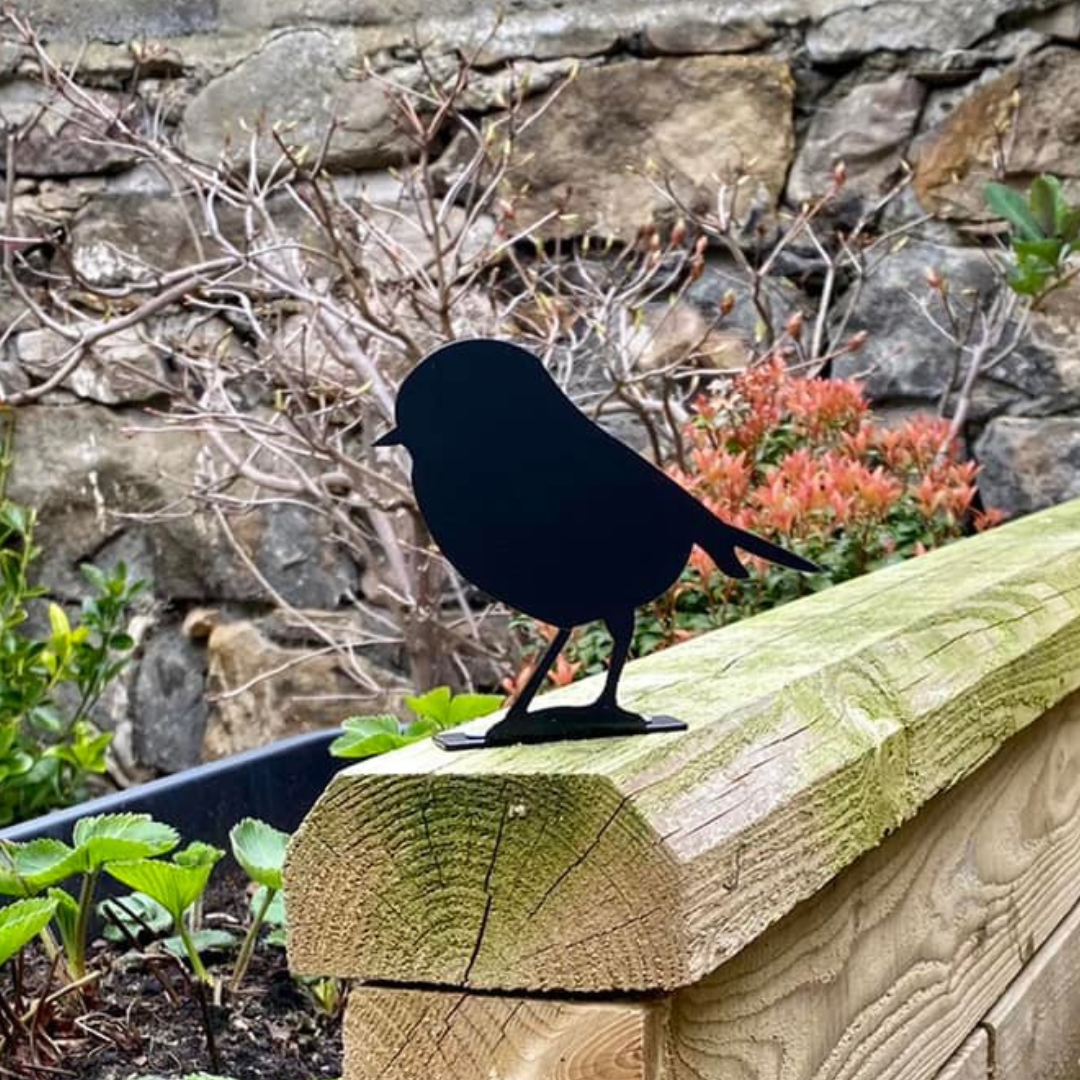 Robin fence topper on the edge of a timber raised bed by a stone wall