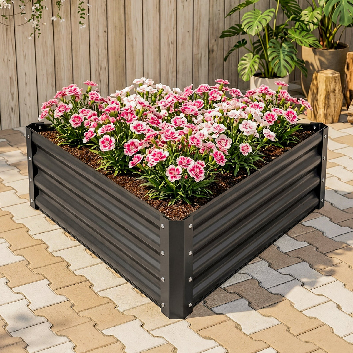 Triangular raised bed full of pink carnations in the corner of a paved patio
