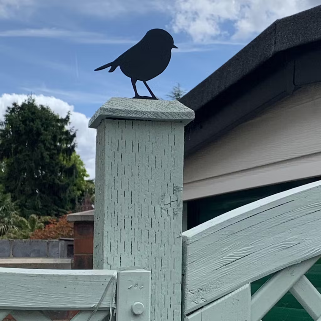 Robin fence topper on a grey gate post against the sky