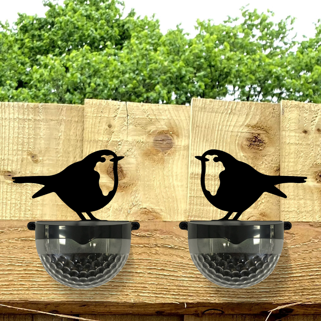 Two robin solar lights on a fence, one facing left and one facing right