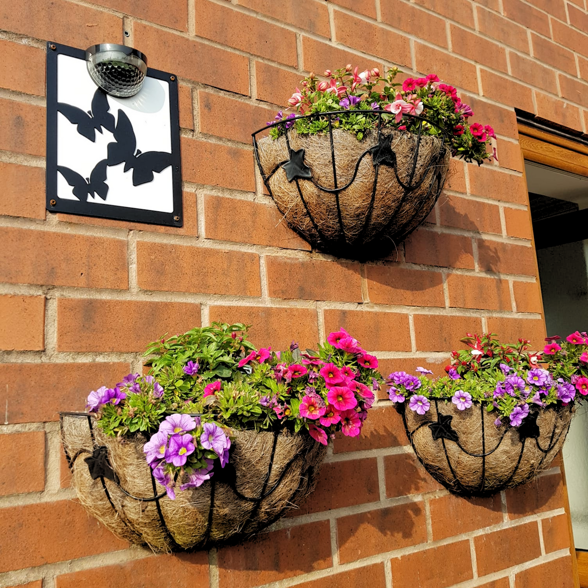 Butterfly solar plaque on a red brick wall beside flowering hanging baskets