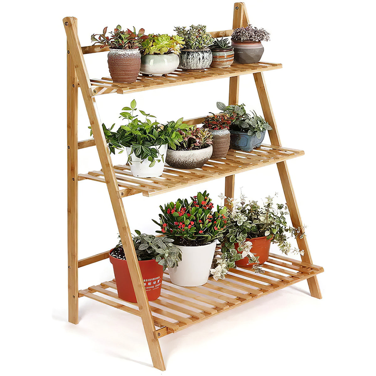 Natural ladder plant stand on white with pots of succulents and flowers