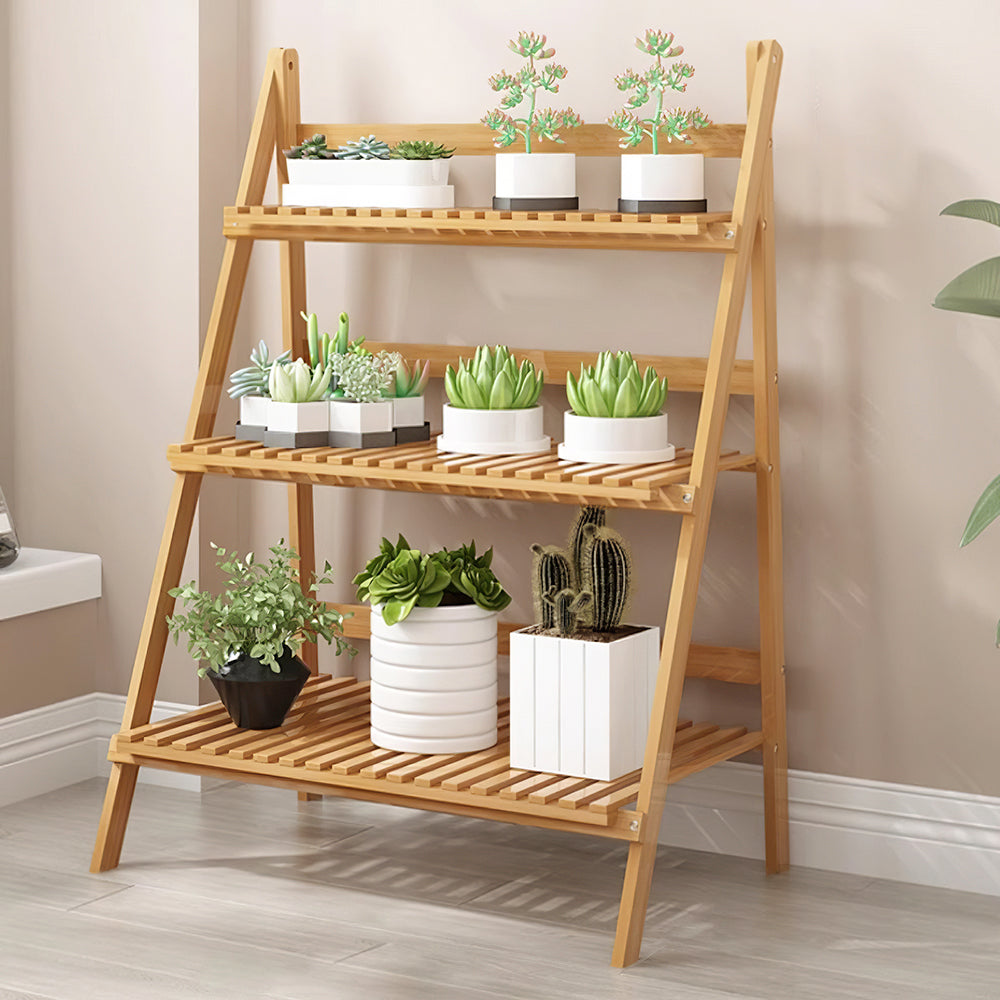 Natural ladder plant stand with white pots of succulents and cacti indoors