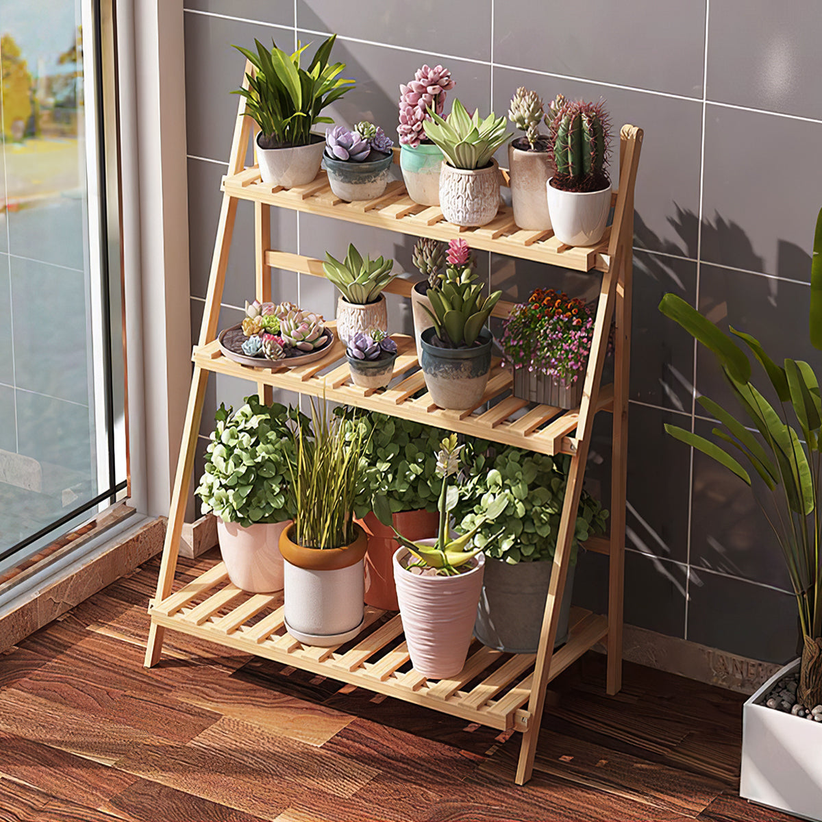 Natural ladder stand with cacti and pot plants on a wooden balcony floor