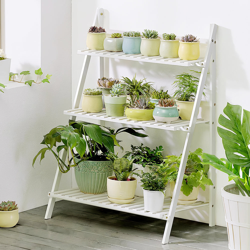White ladder plant stand with pot plants by a window