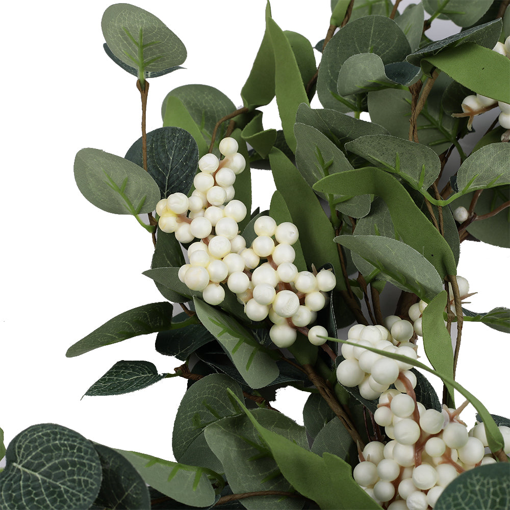 Close-up of a cluster of creamy white berries among green eucalyptus leaves