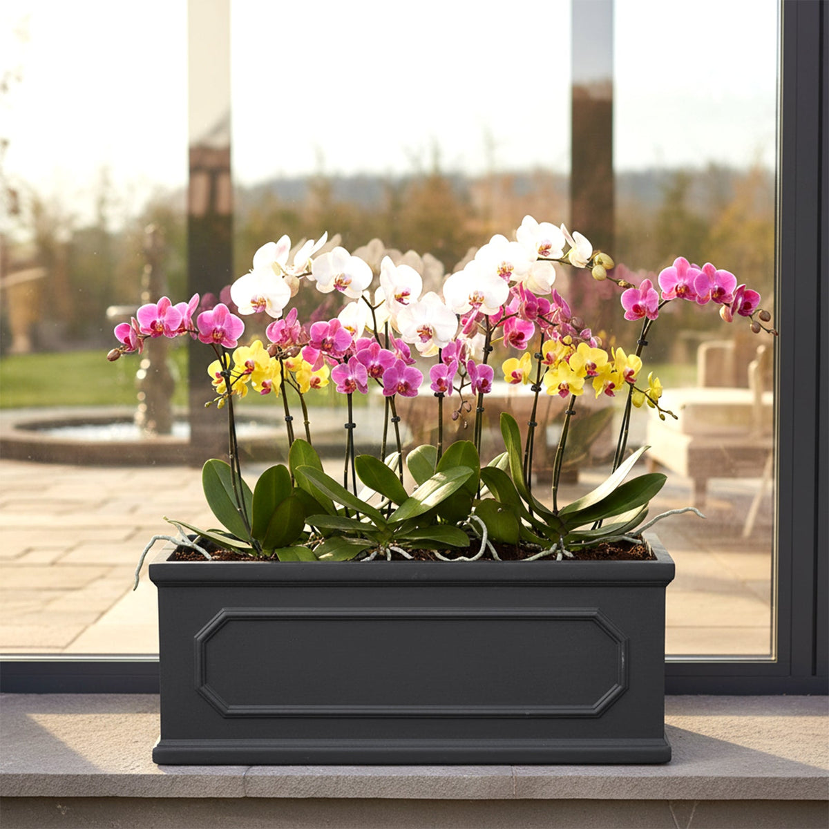 Black cement planter of pink, white and yellow orchids by a glass door