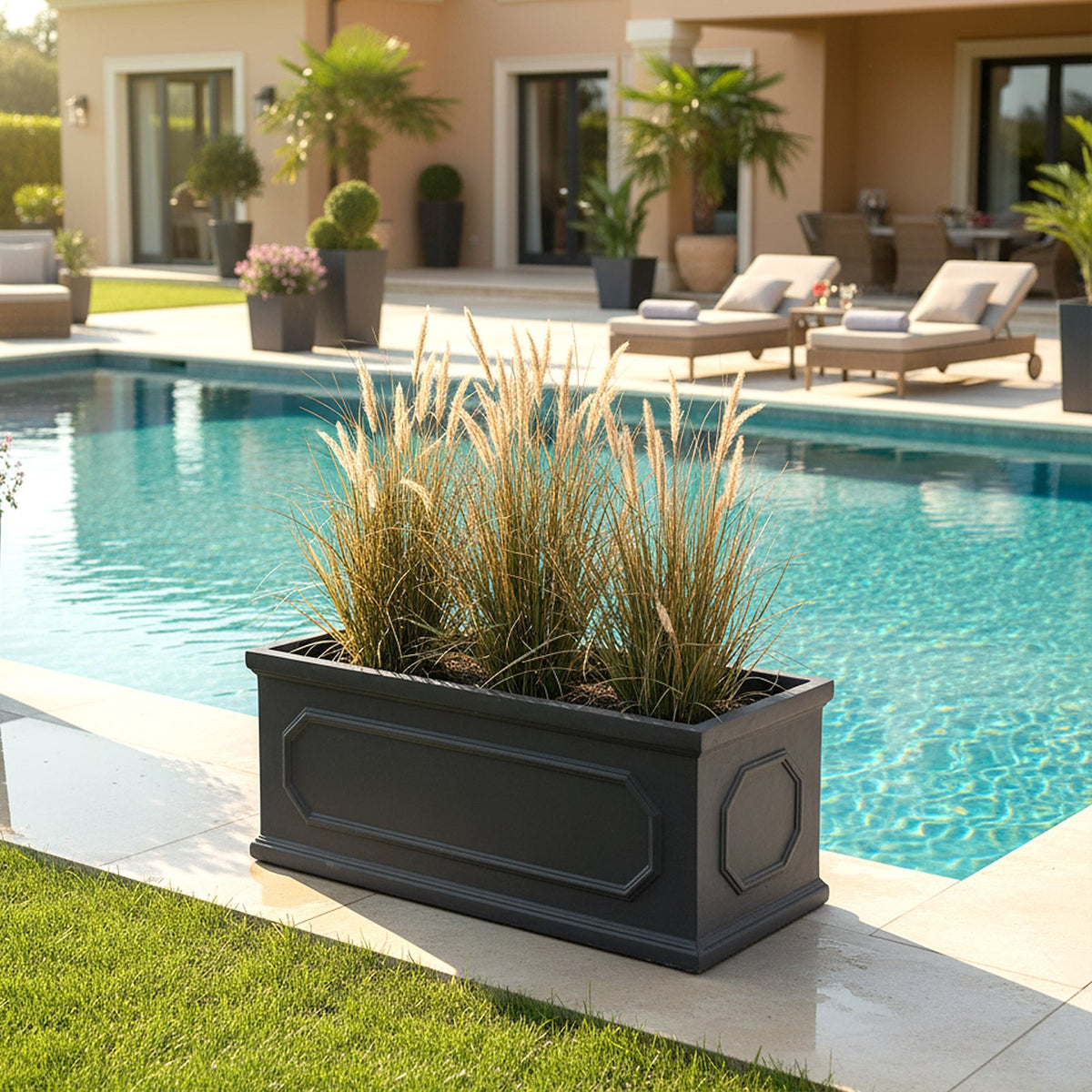 Black panelled trough planter of ornamental grasses beside a swimming pool