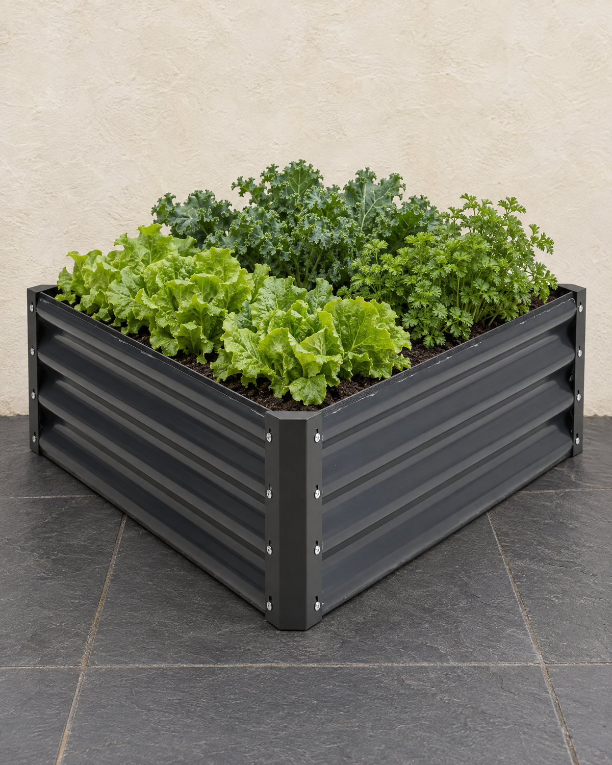 Triangular dark grey raised bed planted with lettuce, kale and parsley on slate paving