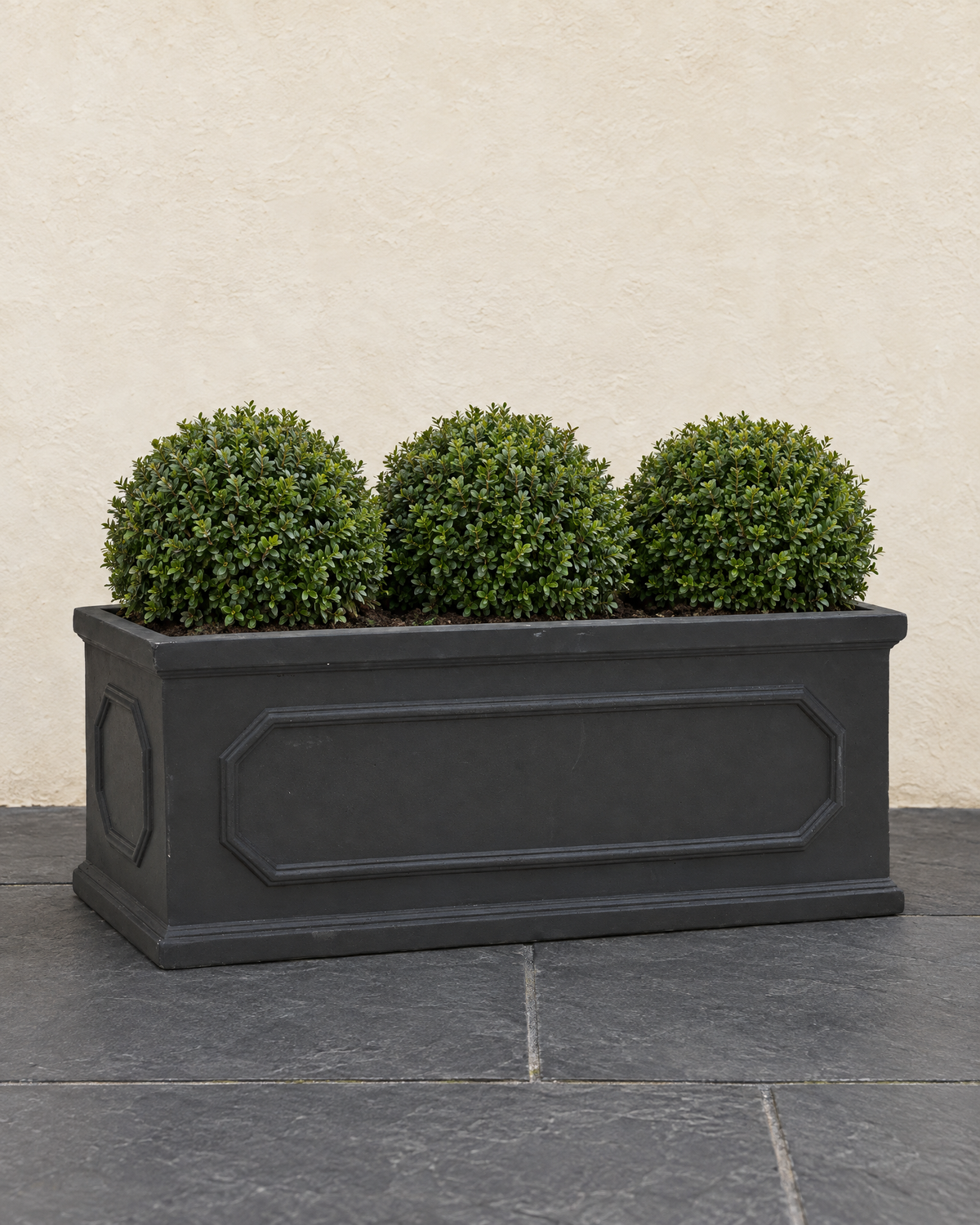 Black cement trough planted with three clipped box balls on slate paving against a cream wall
