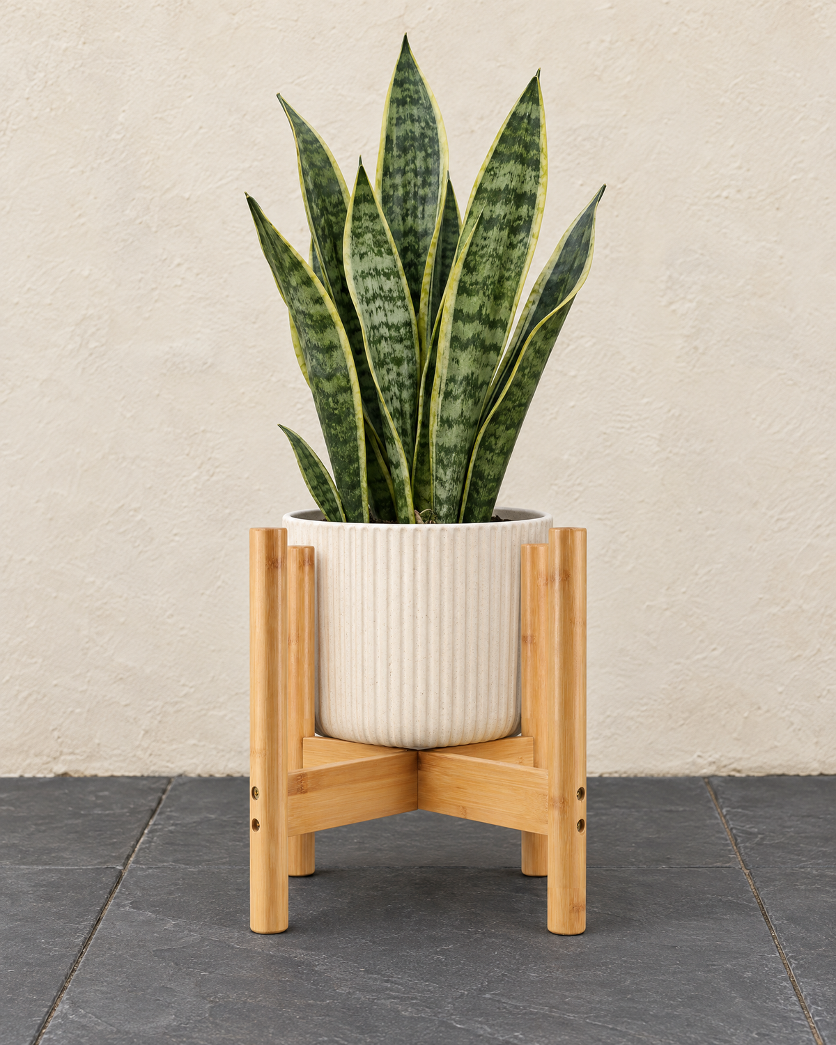 Bamboo pot stand holding a cream ribbed pot with a snake plant on slate paving