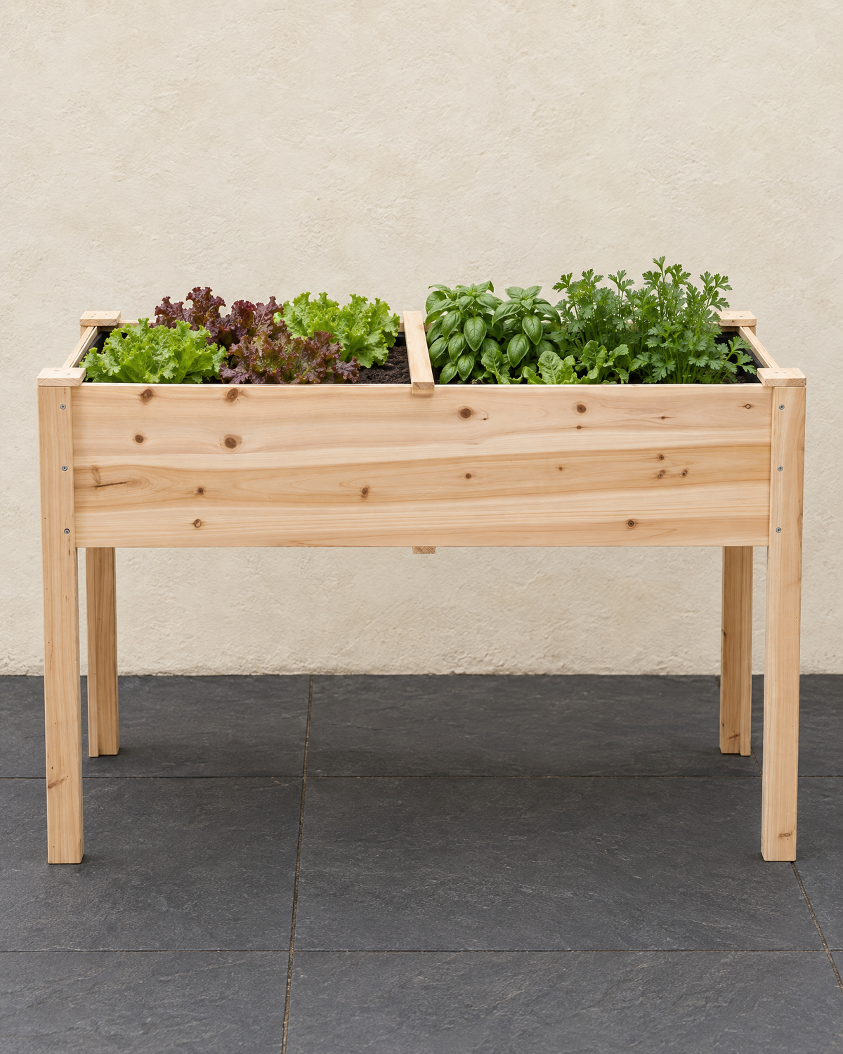 Natural wood raised bed on legs planted with lettuces, basil and parsley on slate paving