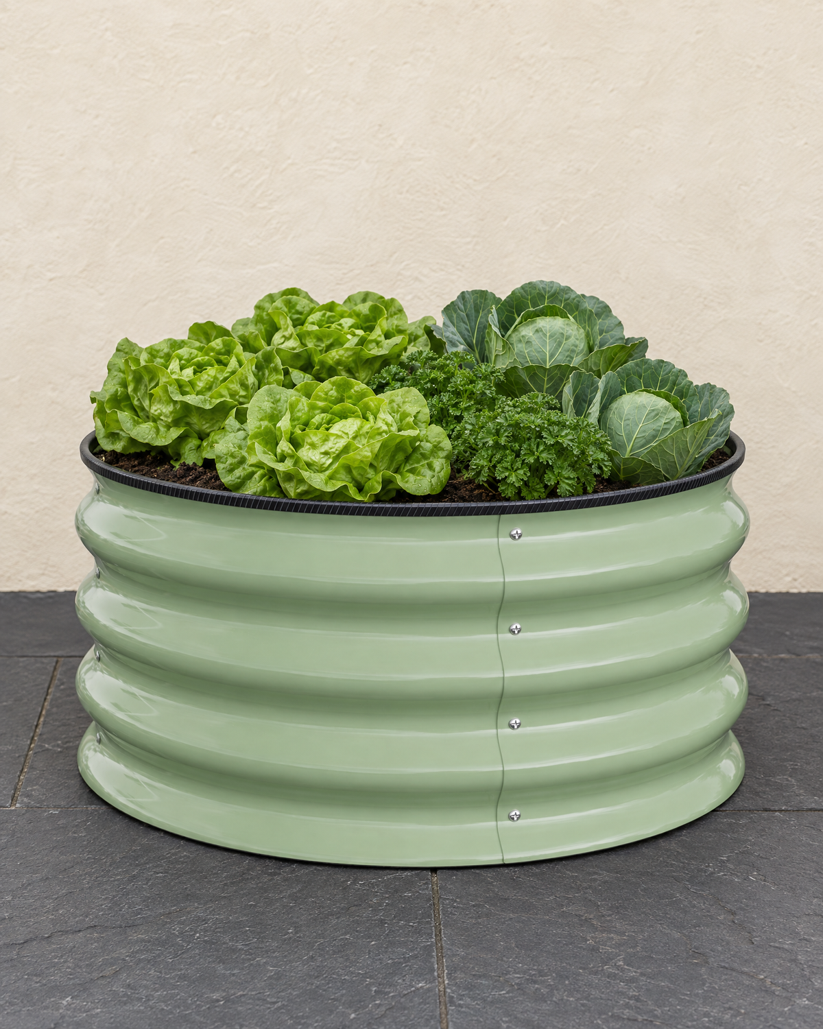 Sage green round raised bed planted with lettuces, parsley and cabbages on slate paving